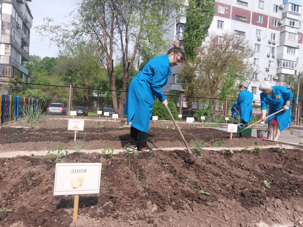 TOLOKA FESTIVAL 2.0: як у Запоріжжі проходить загальноміське прибирання