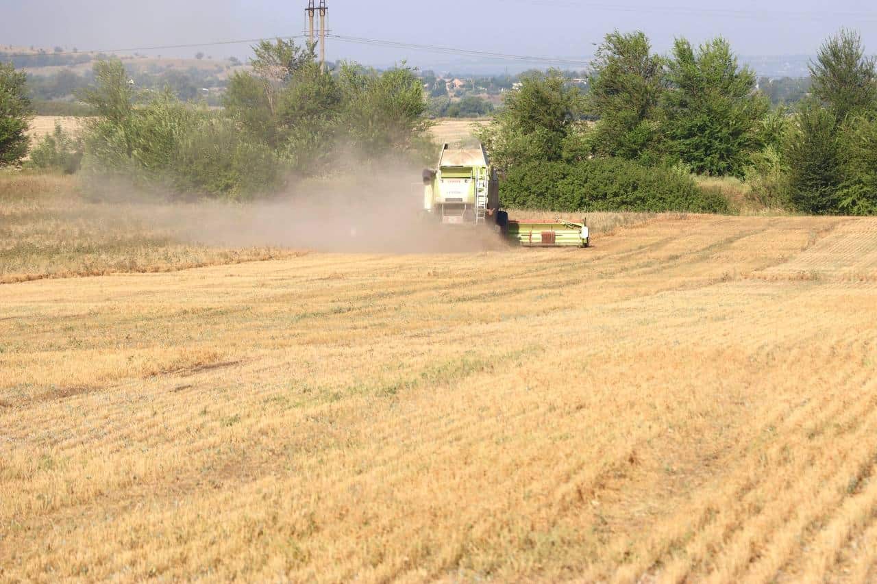 Аномальна спека на Запоріжжі: що буде з врожаєм сільгоспкультур у регіоні