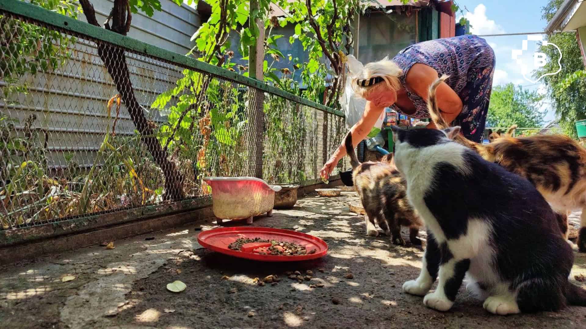 «Ми не можемо їх залишити й просто поїхати»: фоторепортаж про оріхівське подружжя, яке годує більше 50-ти тварин