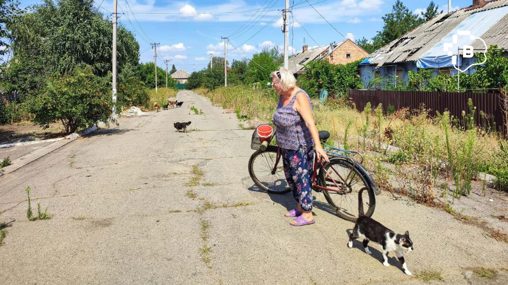 «Ми не можемо їх залишити й просто поїхати»: фоторепортаж про оріхівське подружжя, яке годує більше 50-ти тварин