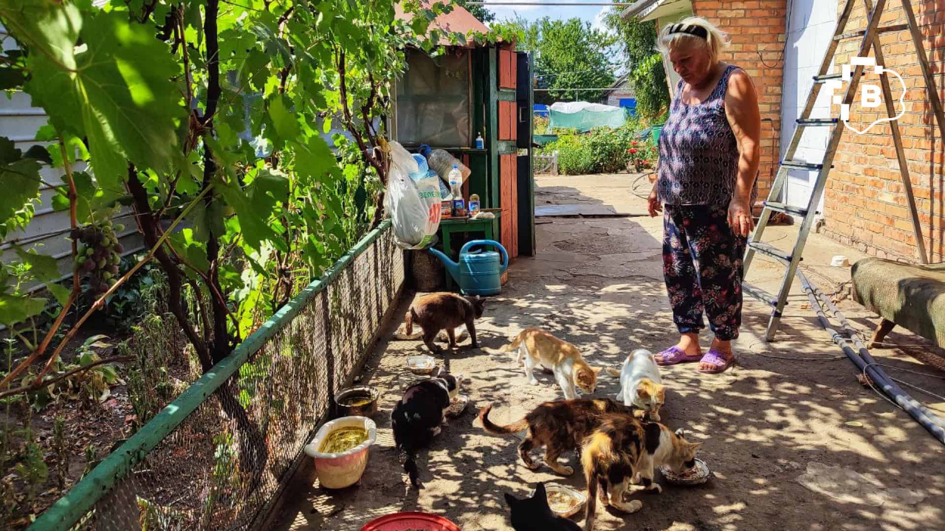 «Ми не можемо їх залишити й просто поїхати»: фоторепортаж про оріхівське подружжя, яке годує більше 50-ти тварин