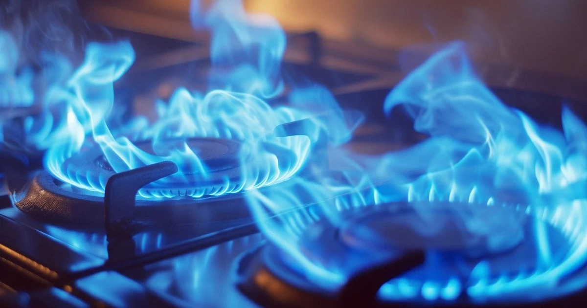 У Долинській громаді на Запоріжжі хочуть прокласти газопровід в одному із сіл: що відомо