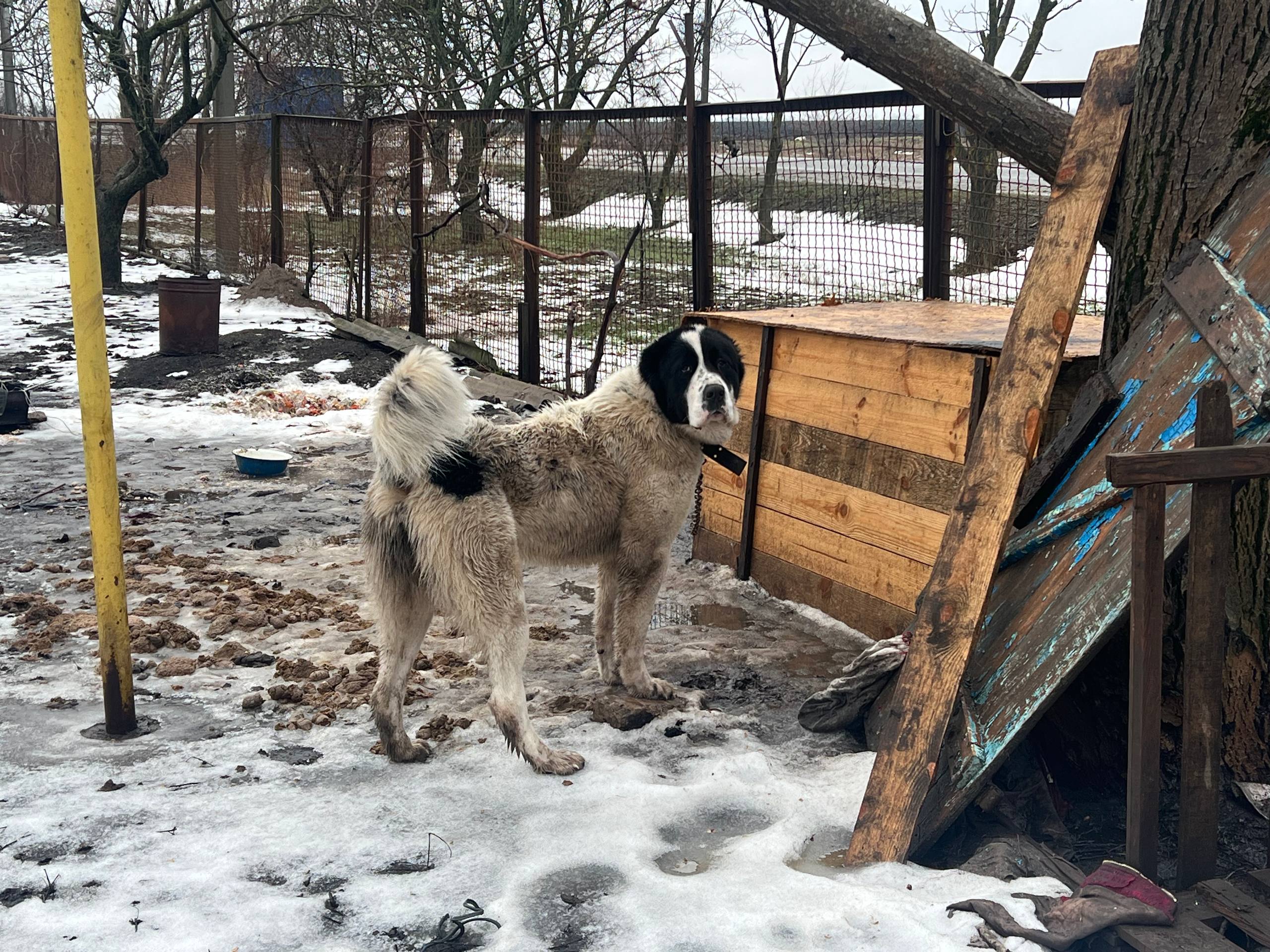 «Живемо, бо треба жити»: як ВПО з різних районів Запорізької області облаштовуються в Павлівській громаді. ФОТО