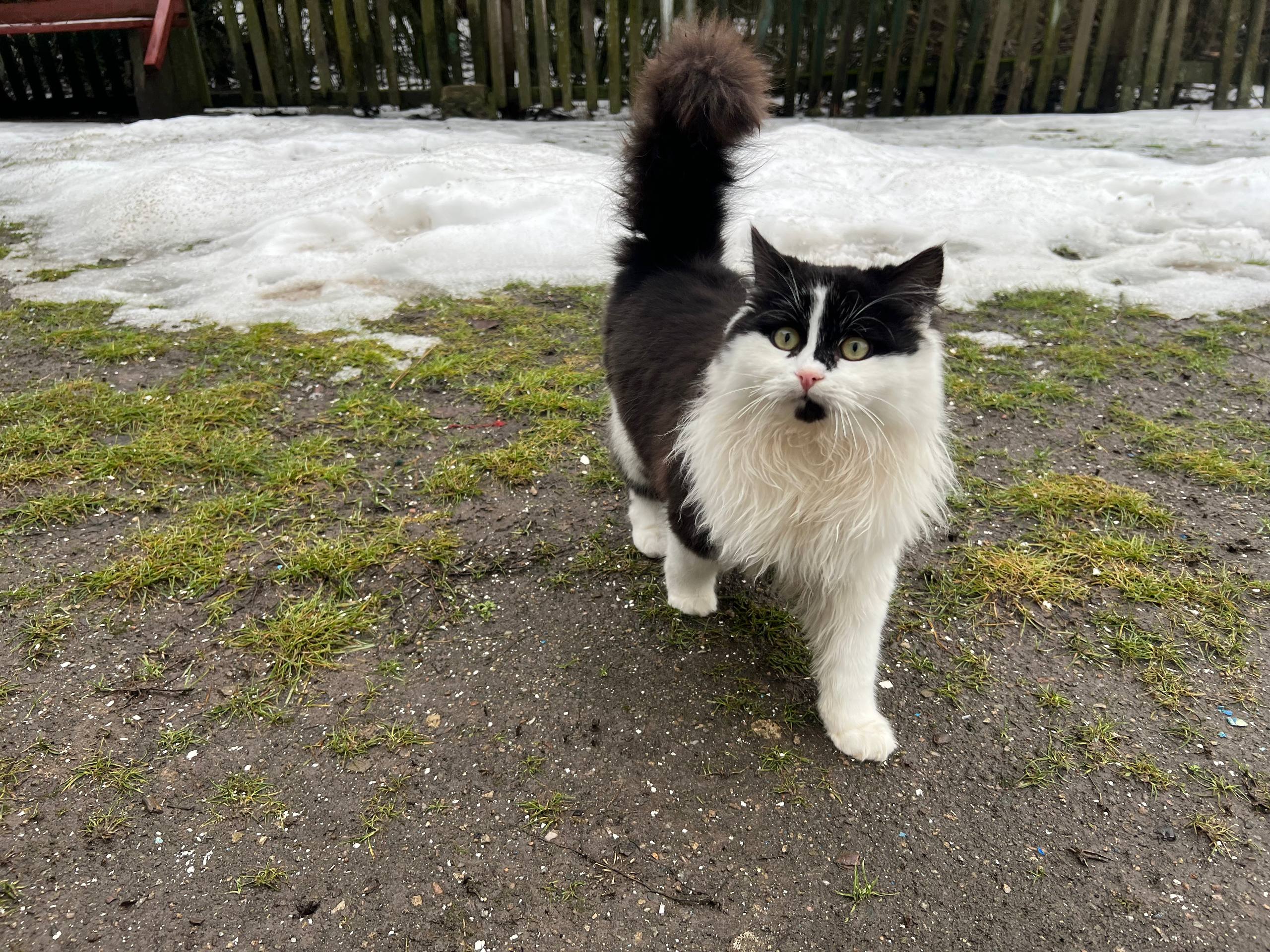 «Живемо, бо треба жити»: як ВПО з різних районів Запорізької області облаштовуються в Павлівській громаді. ФОТО