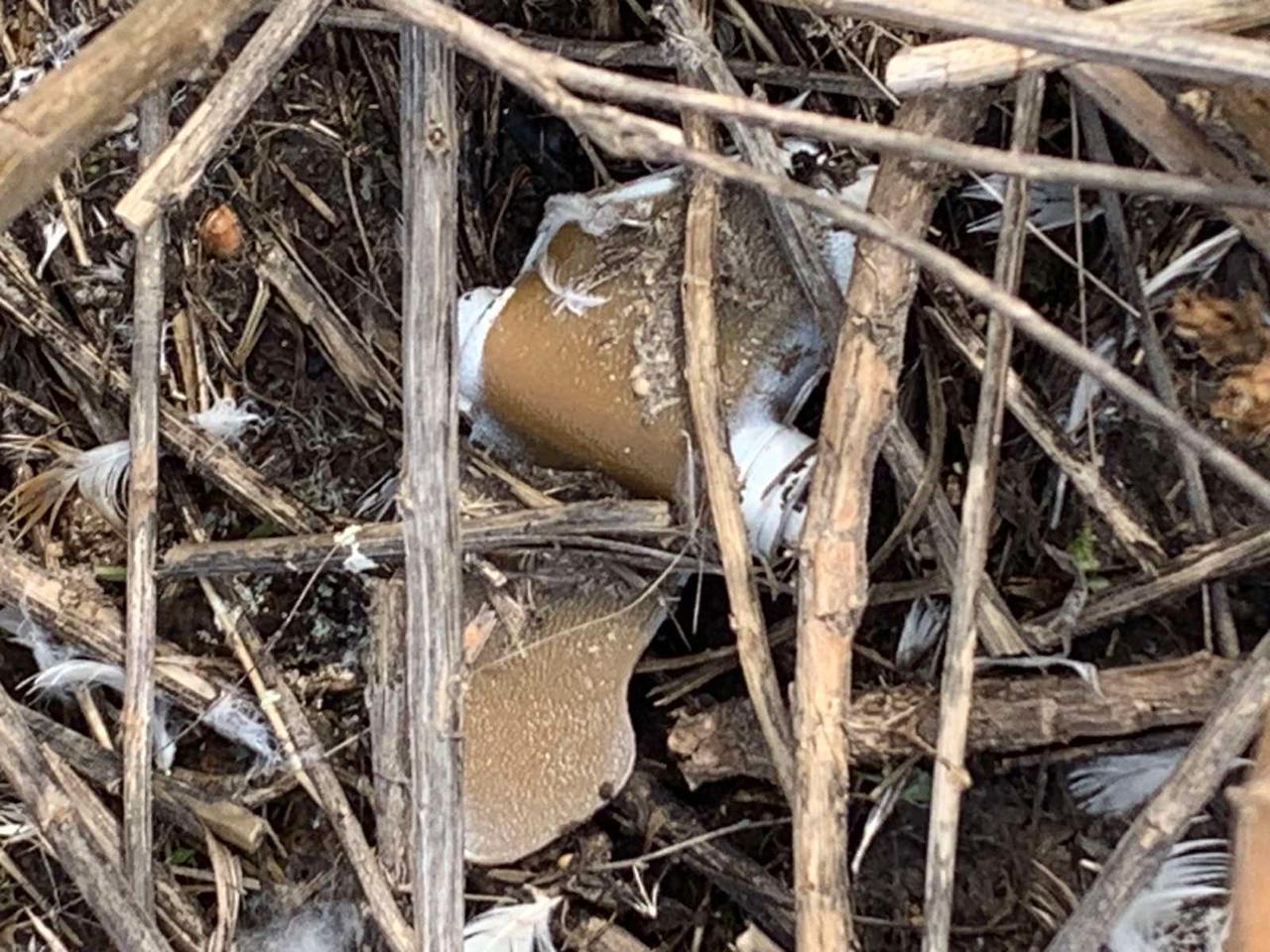 Небезпечні міни «пелюстки» помітили у Долинській громаді: мешканців закликають бути обережними