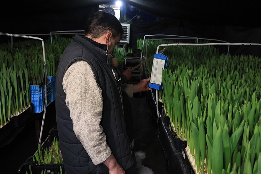 Найскладніша зима для бізнесу: як підприємці Запоріжжя пережили тривалі відключення світла