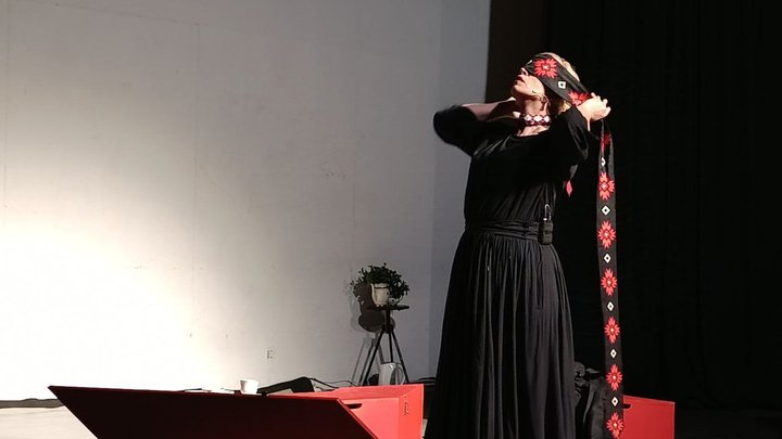 Від архівних листів до сцени: у Запоріжжі показали виставу про Олену Пчілку